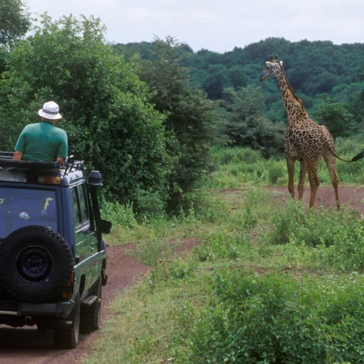 Game Drives