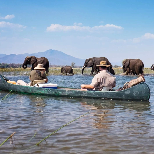 Canoe Safaris