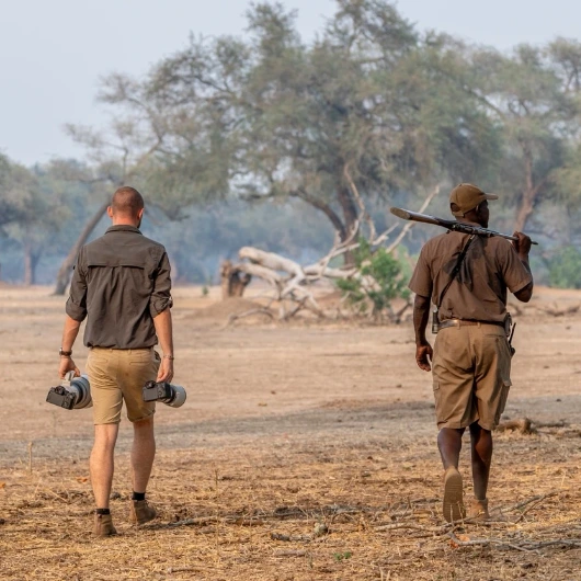 Walking Safari