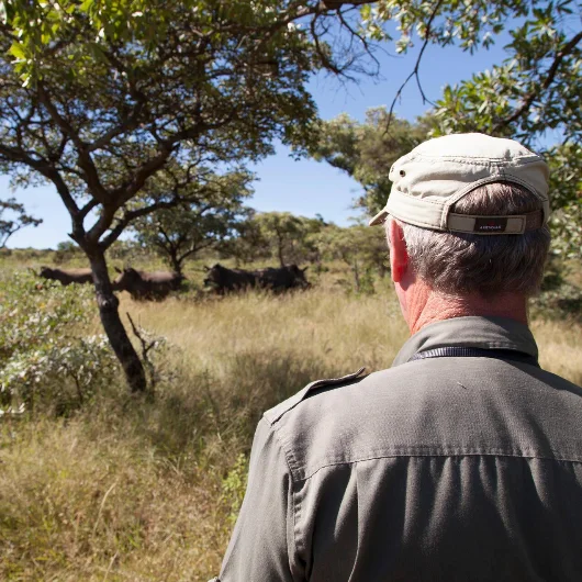 Walking Safari