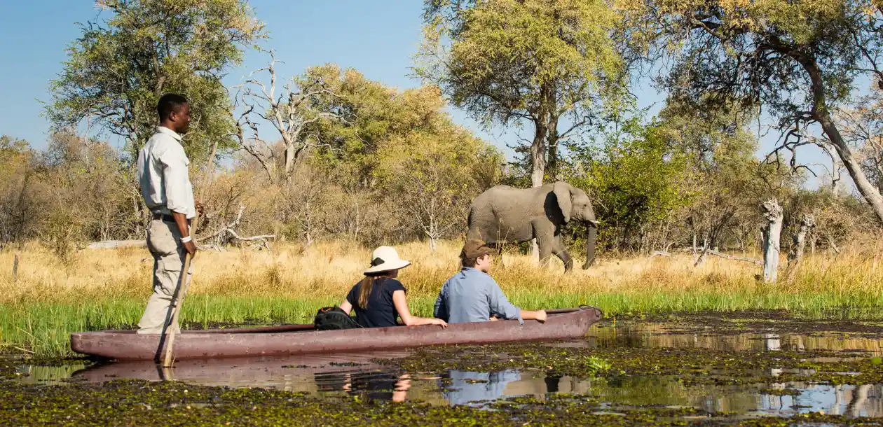 Mokoro Adventures