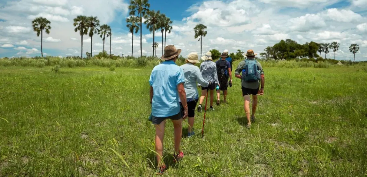 Bush Walks