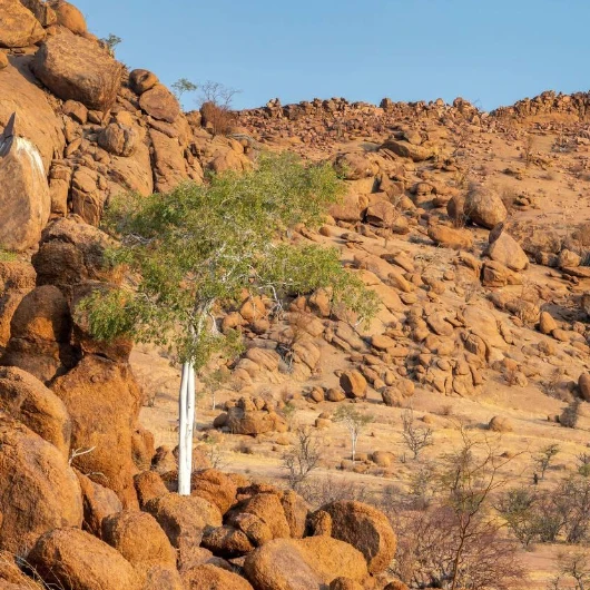 Damaraland