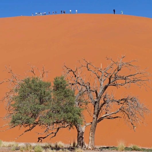 Namibia Attractions