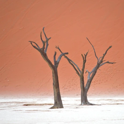 Namibia Attractions