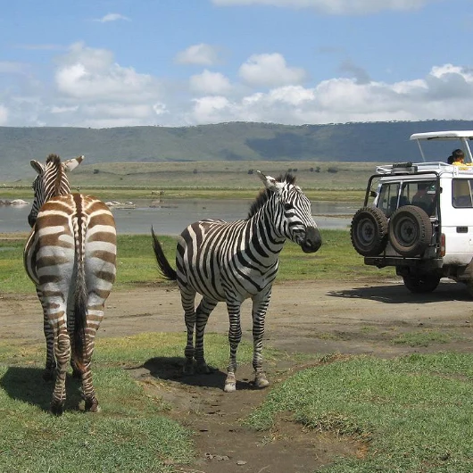 Ngorongoro Game Drives