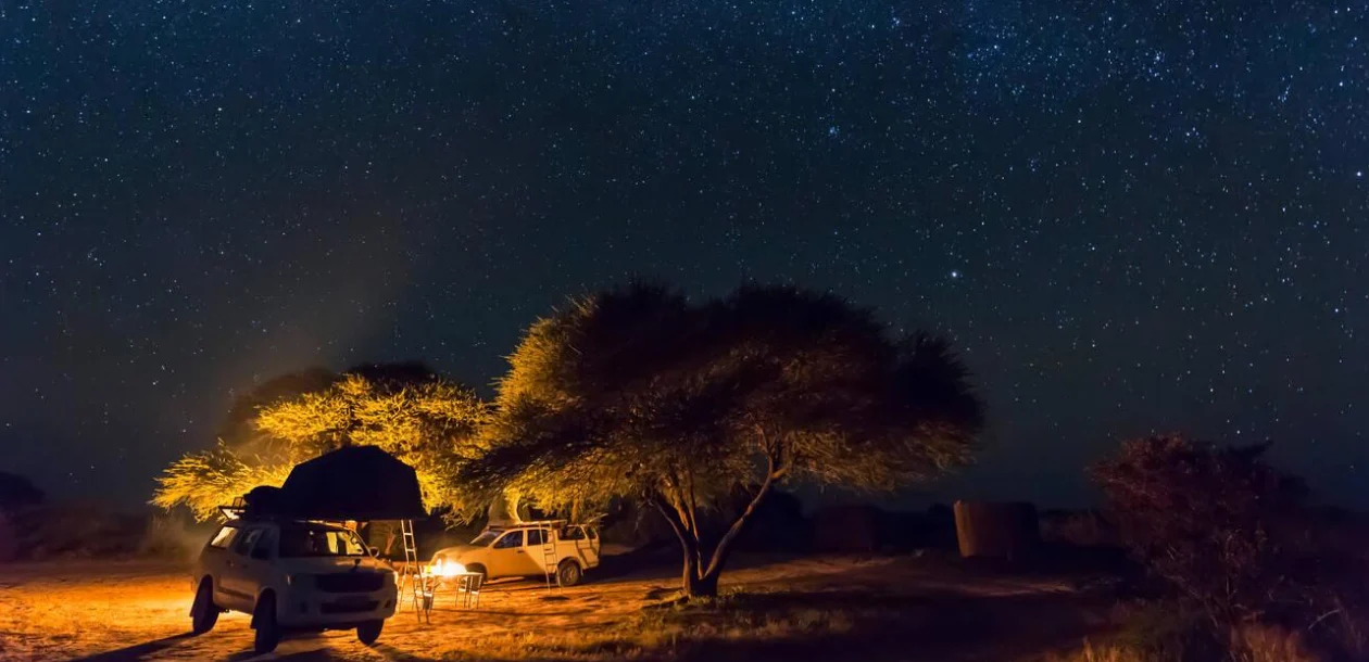 Night Safaris