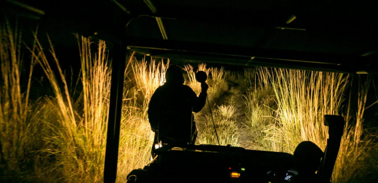 Night Drives Adventure