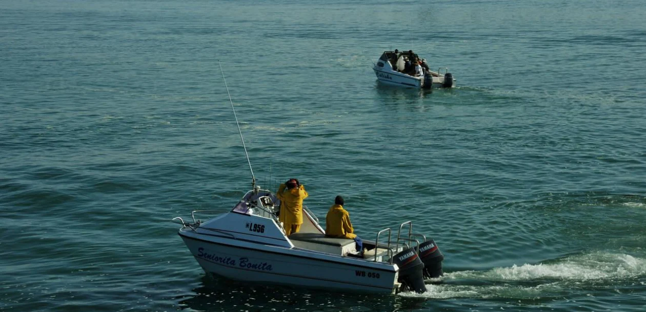 Eco Tourism
