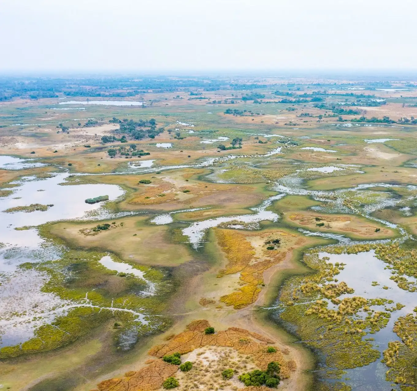 Okavango Delta Attractions