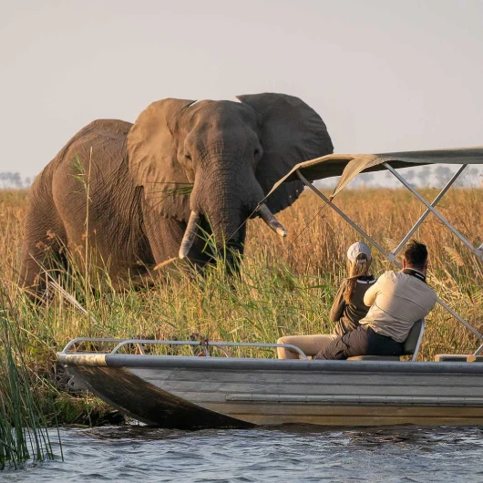 Okavango Delta Boat Safari