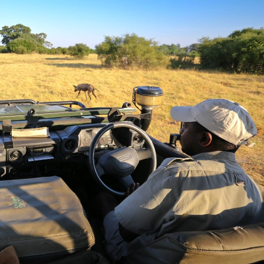 Game Drive