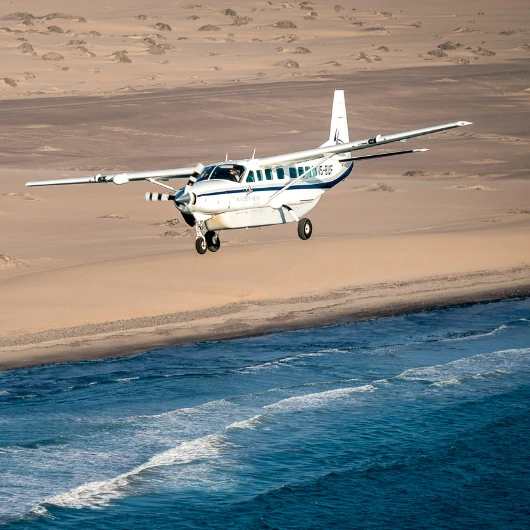 Fly-In Safari