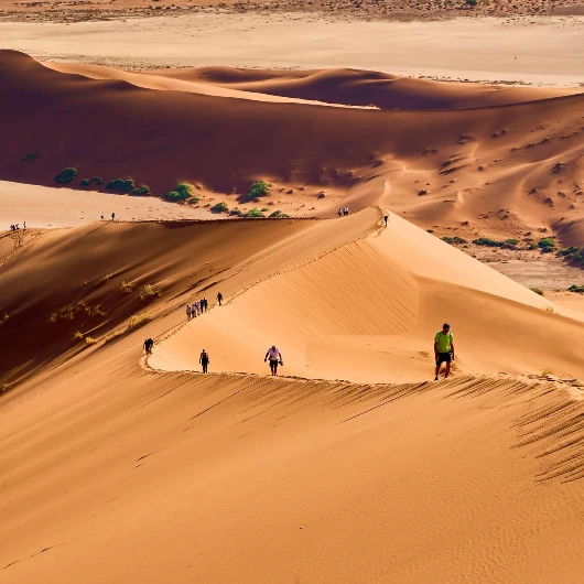 Dune Climbing