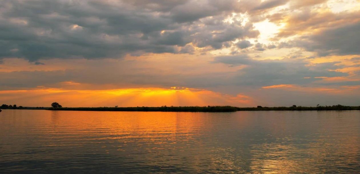 Golden Skies