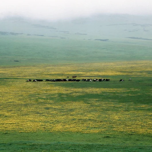 Ngorongoro Attractions