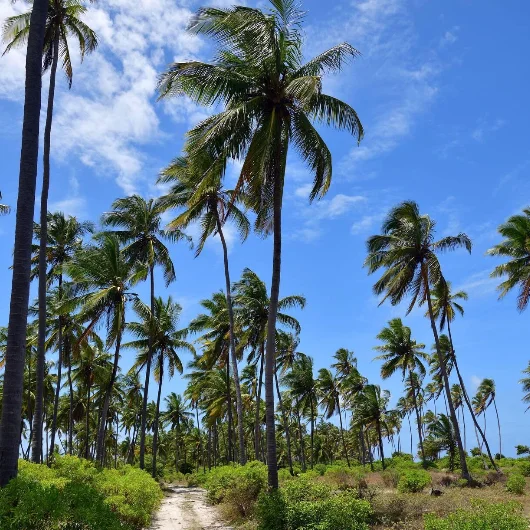 Zanzibar Attractions