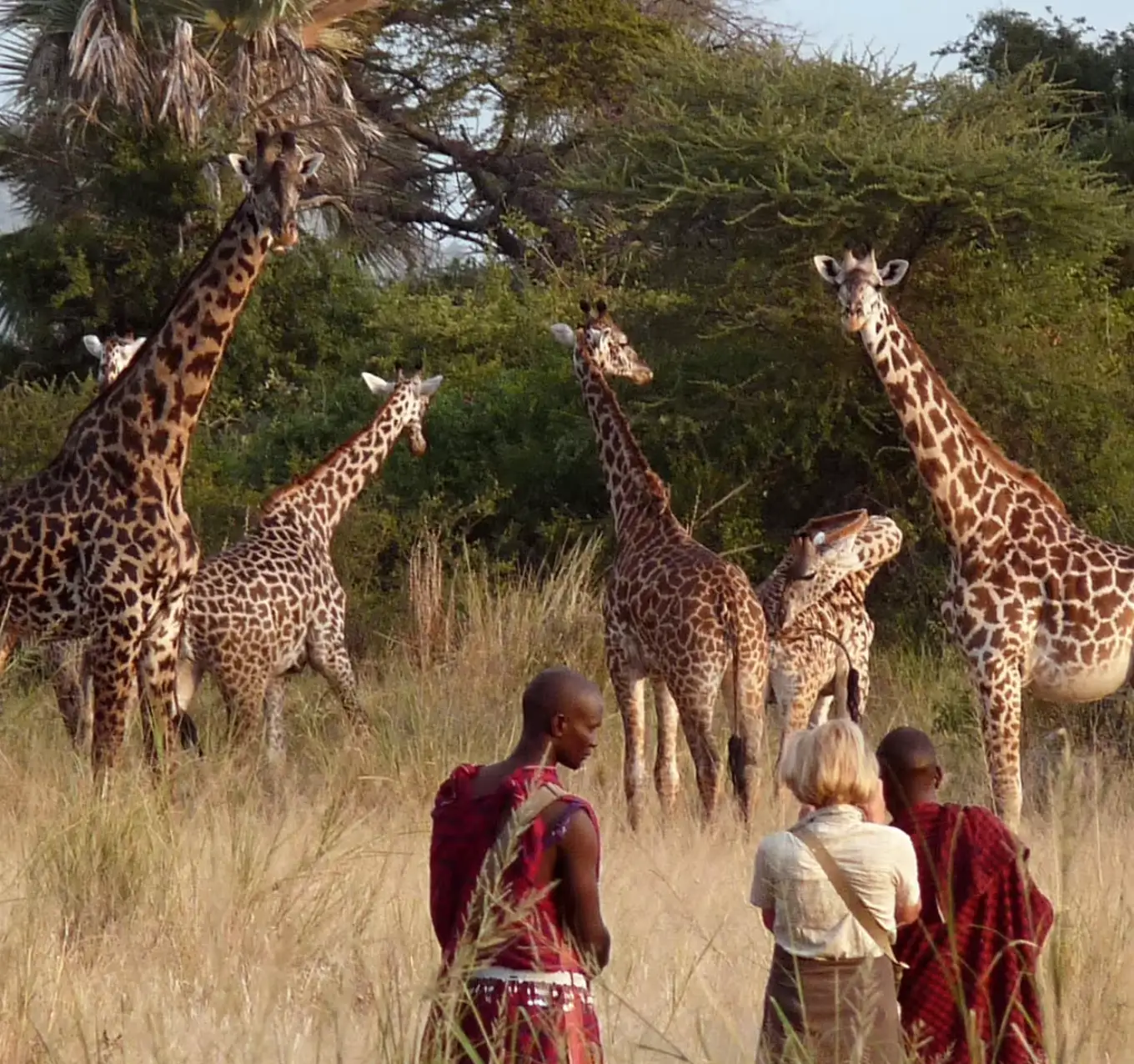 Tanzania Attractions