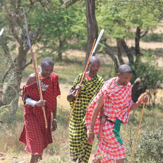 Cultural Visits
