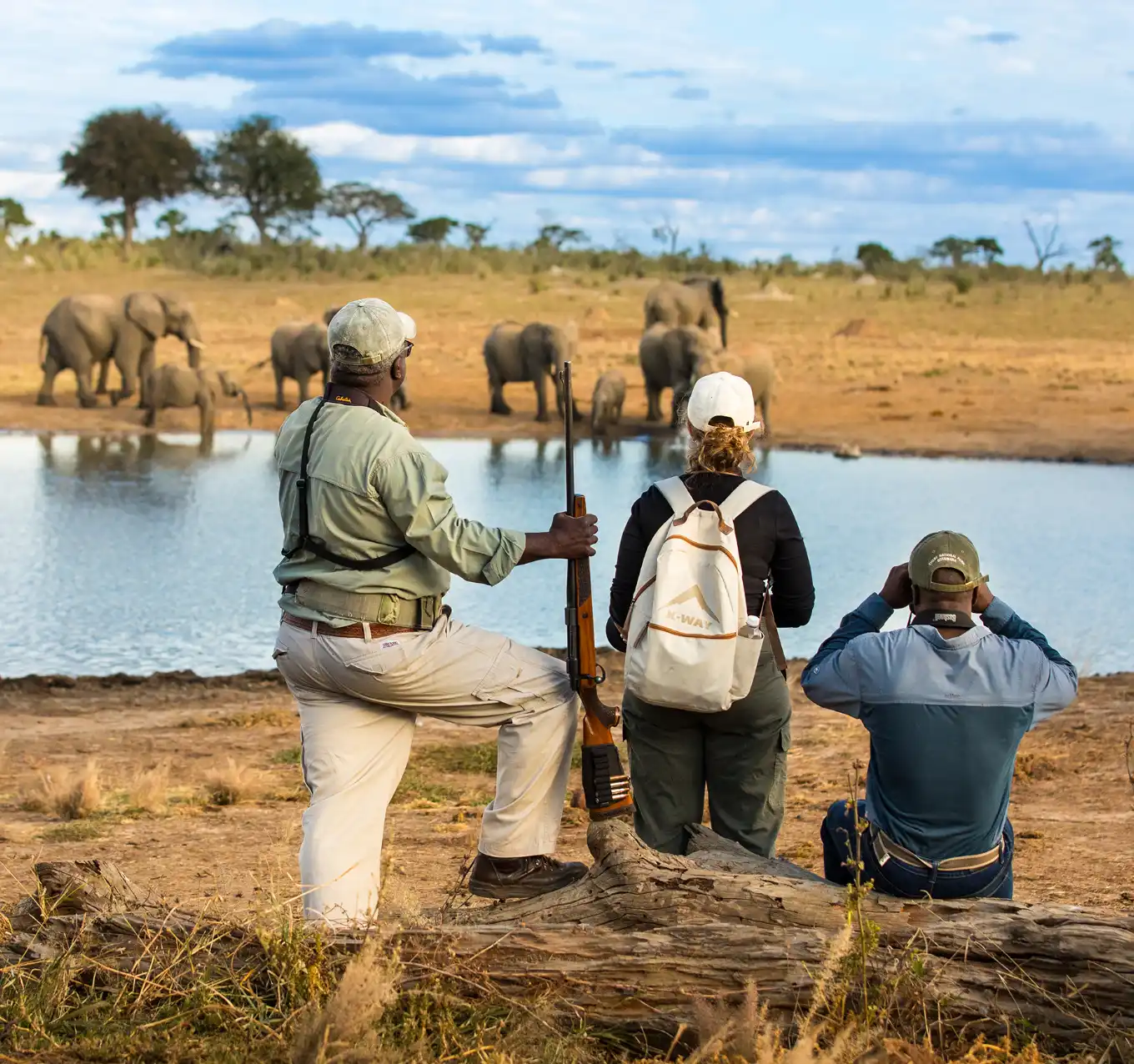 Walking Safari