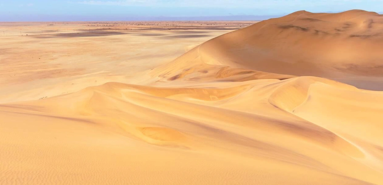 Desert Waves