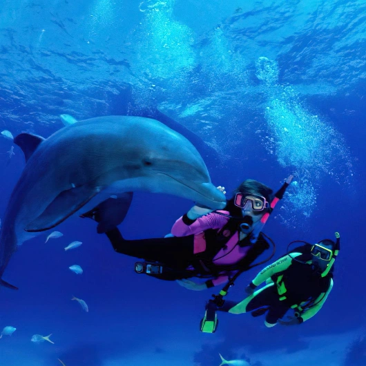 Snorkelling