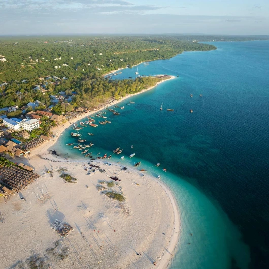 Beach Attractions