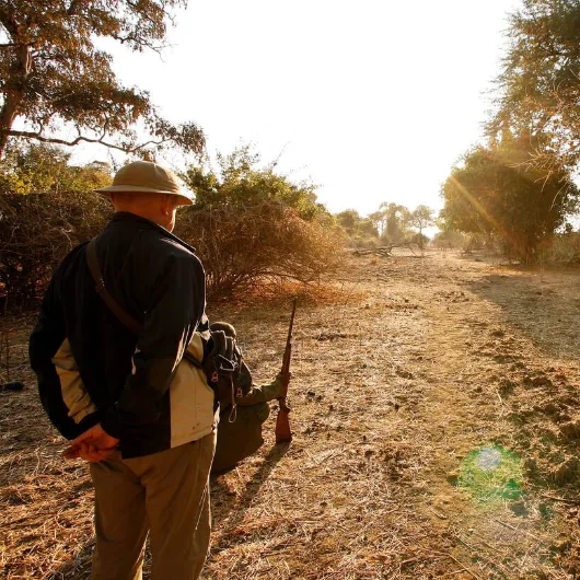 Walking Safari
