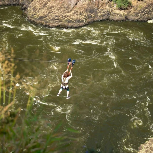 Zip Line