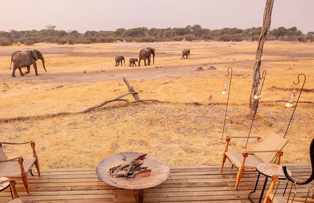 Hwange Wildlife
